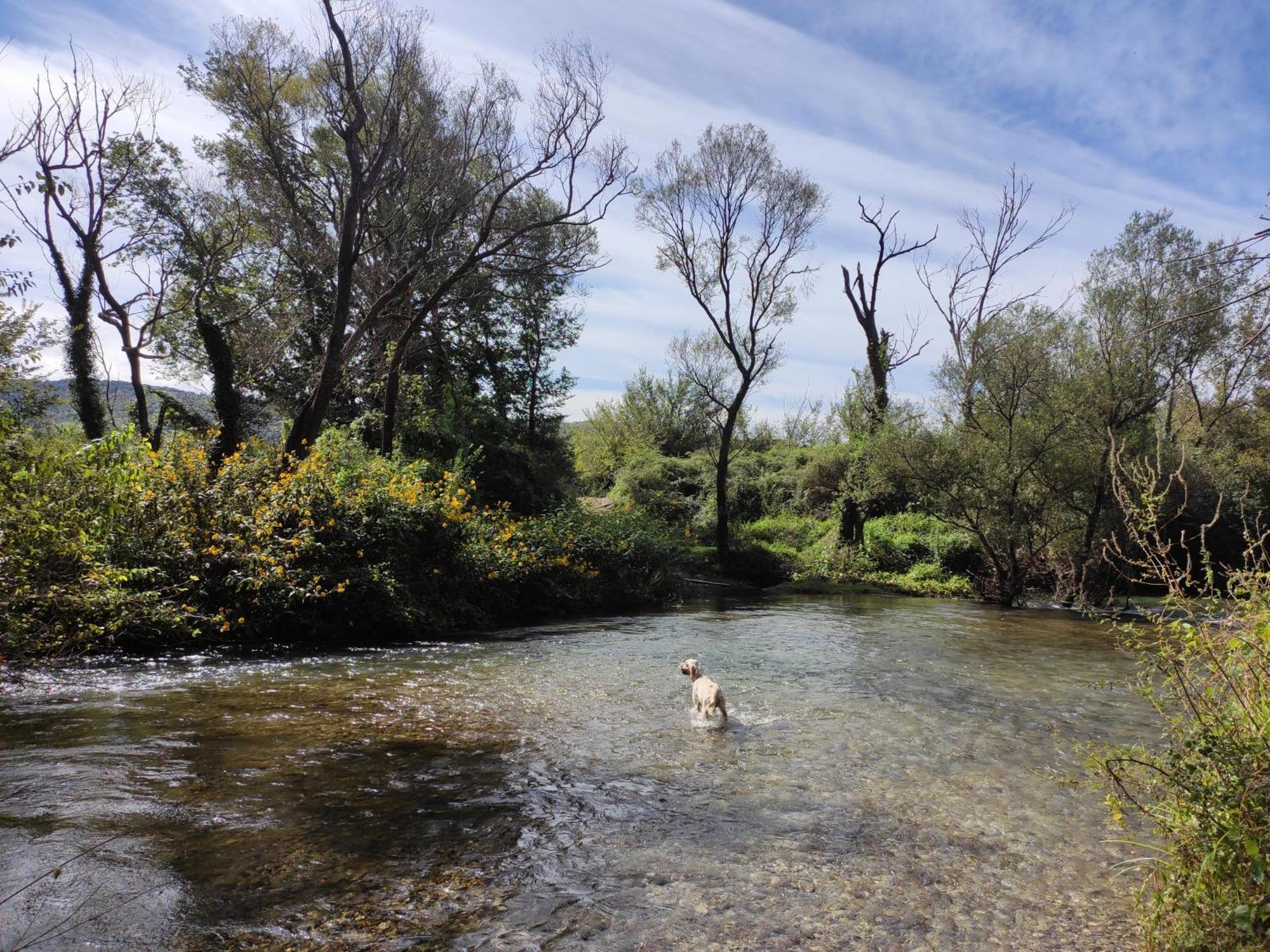 Country House Uros In Nature With Pool Lovorno Exterior foto