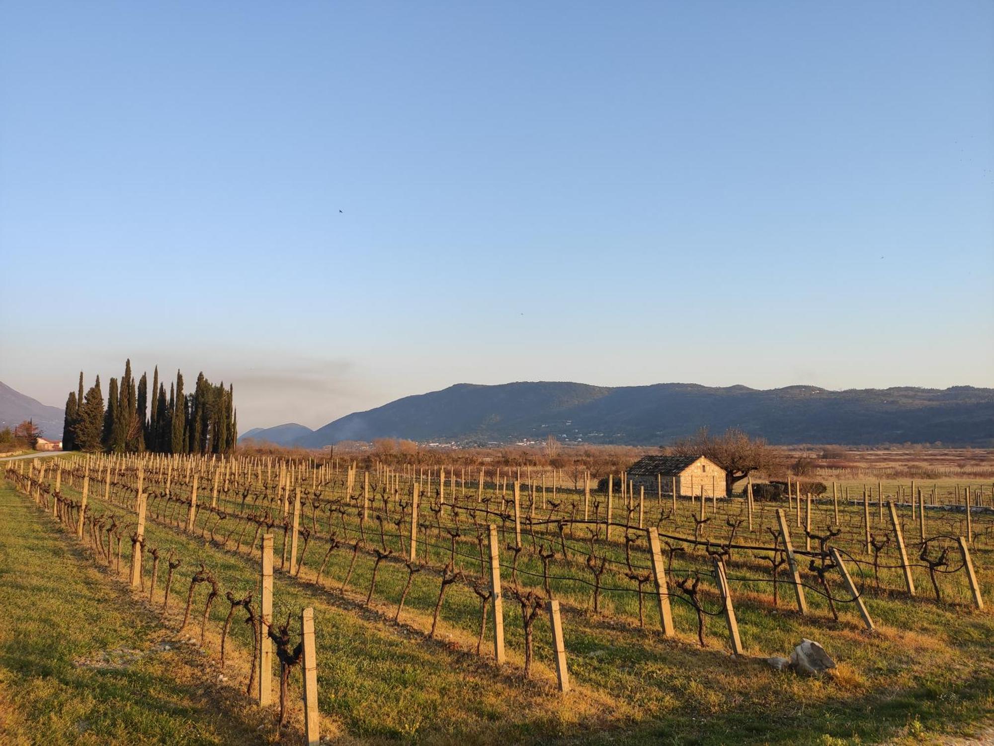 Country House Uros In Nature With Pool Lovorno Exterior foto